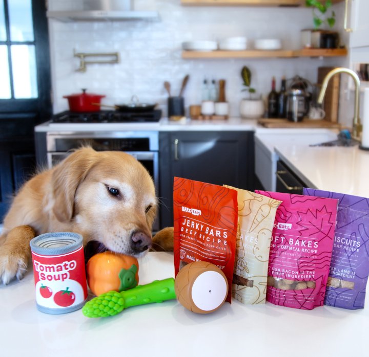 Barkbox 2
