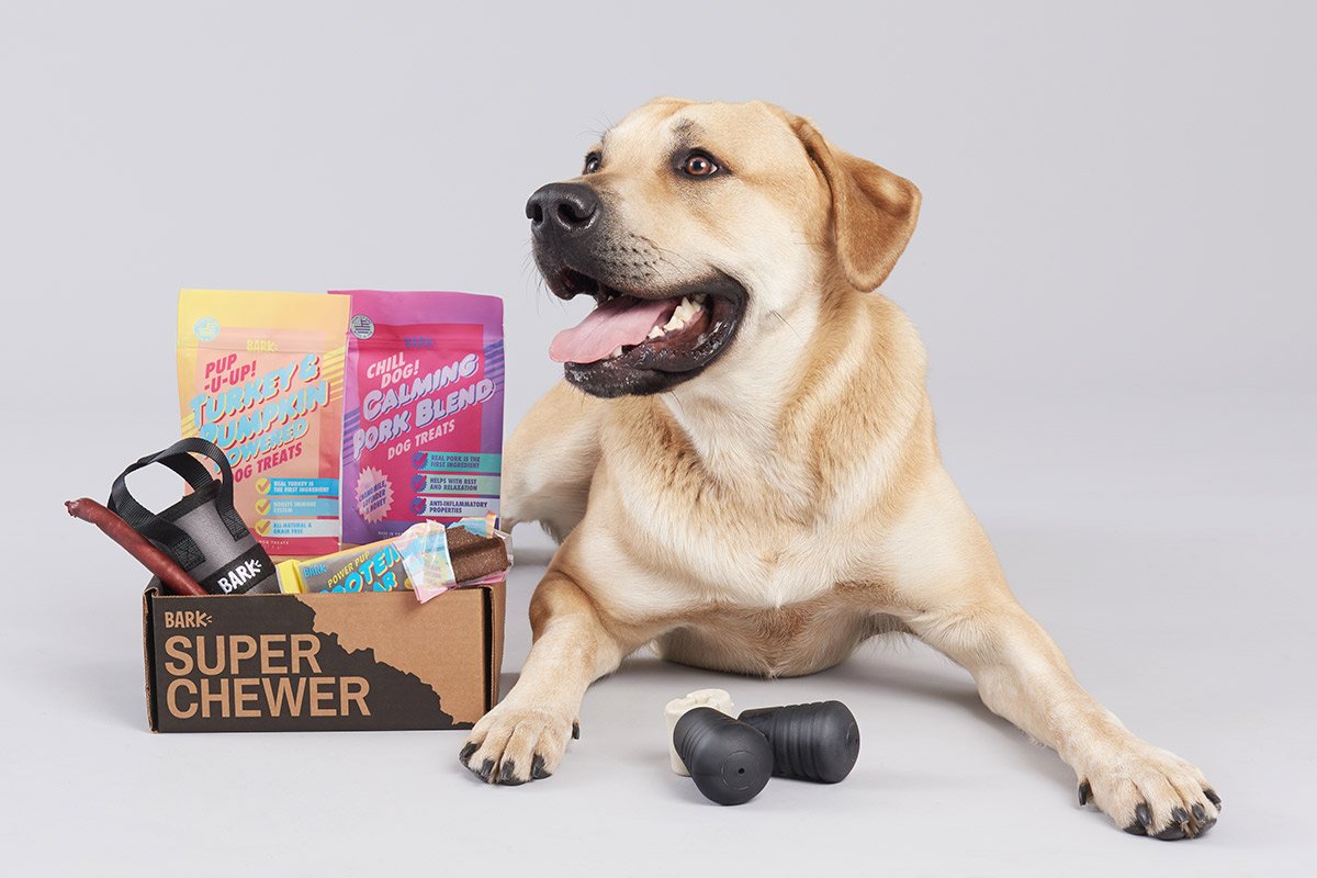 Barkbox_Image