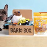 Insider Look at BarkBox Evaluating Its Worth and Benefits