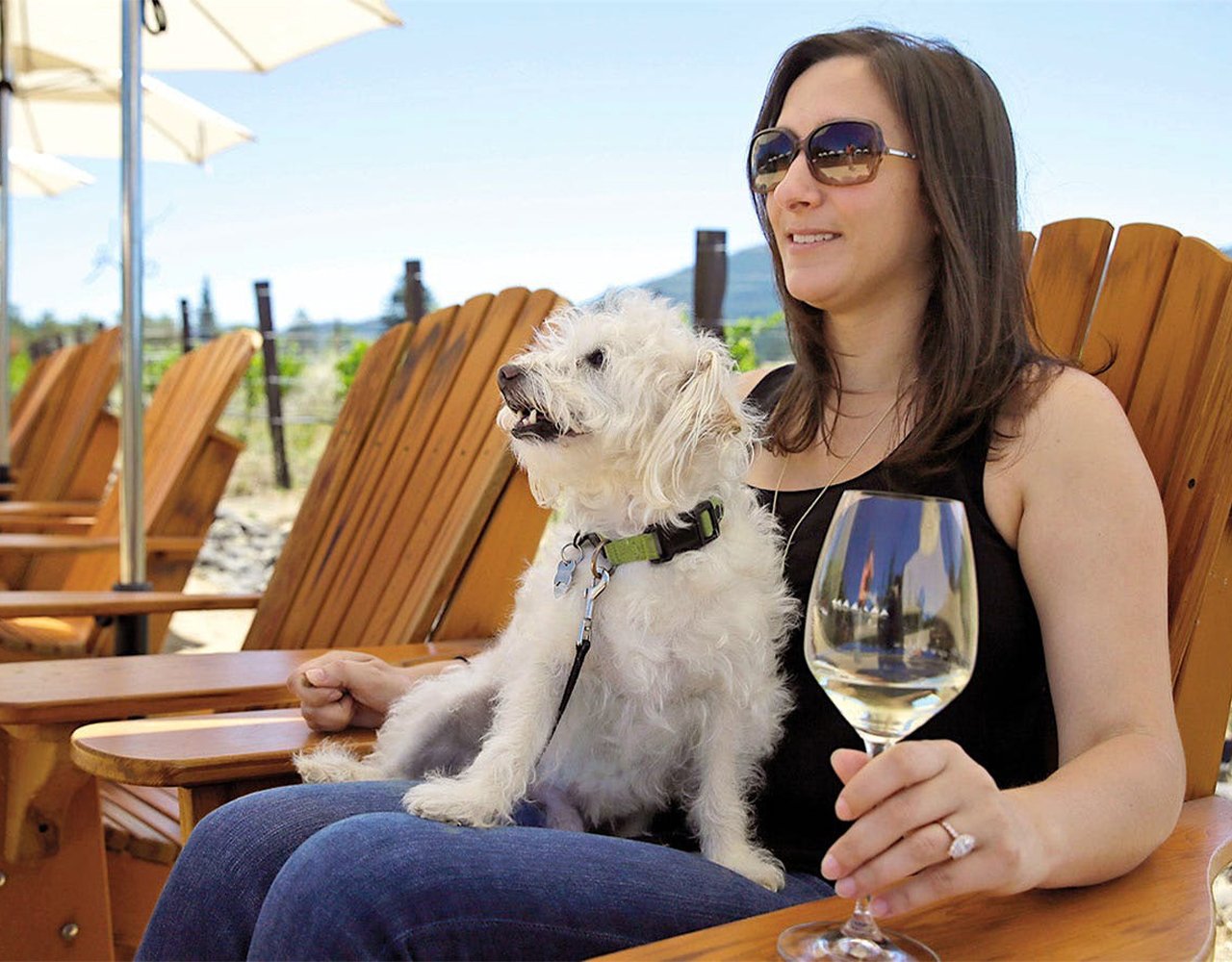 Exploring Pet-Friendly Wineries: Types, Locations, and More