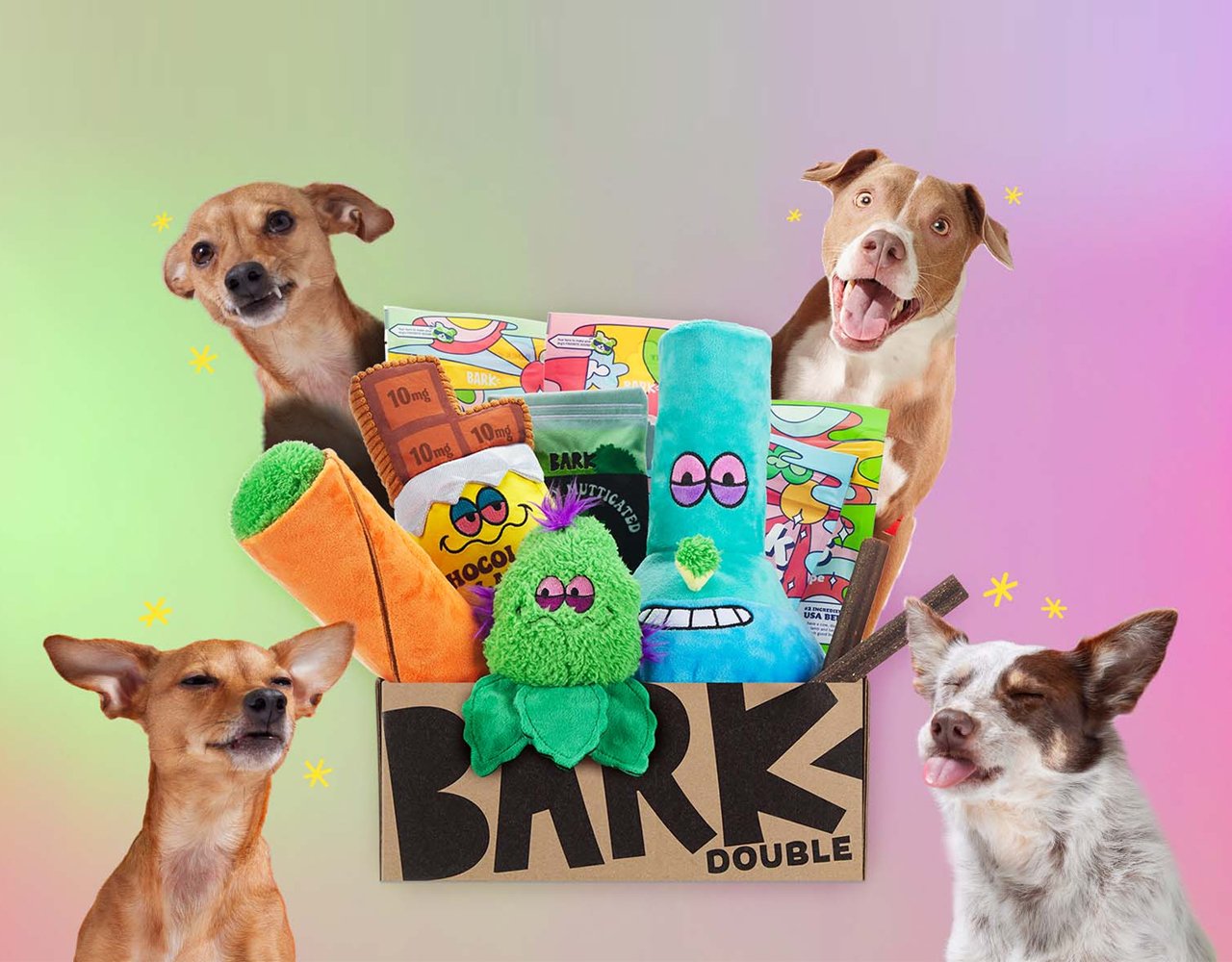 Barkbox Featured Image