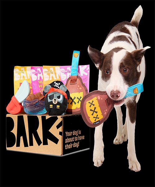1. Chew Toys