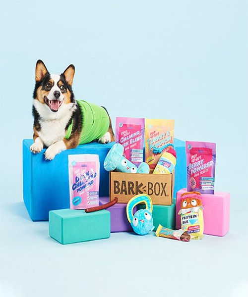 3. Treats