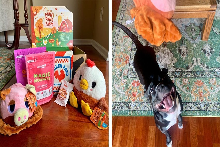 BarkBox Review